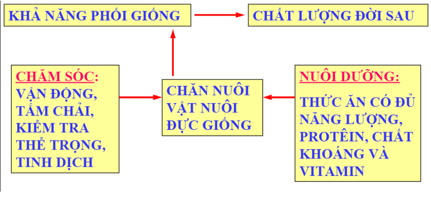 Giải bài tập Công nghệ 7 | Giải Công nghệ 7