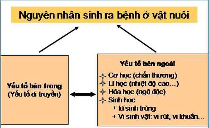 Giải bài tập Công nghệ 7 | Giải Công nghệ 7