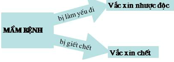 Giải bài tập Công nghệ 7 | Giải Công nghệ 7