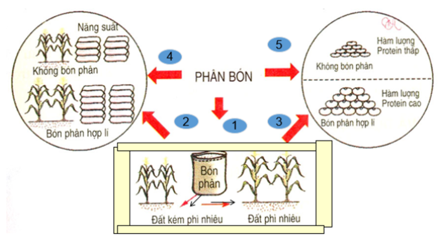 Giải bài tập Công nghệ 7 | Giải Công nghệ 7