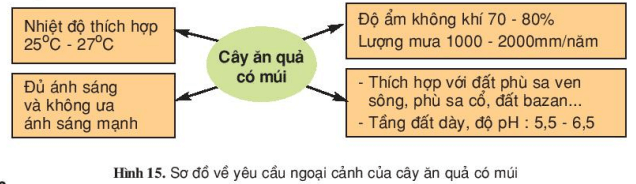 Trắc nghiệm Công nghệ 9 Bài 7 có đáp án năm 2023 (Trồng cây ăn quả) (ảnh 1)