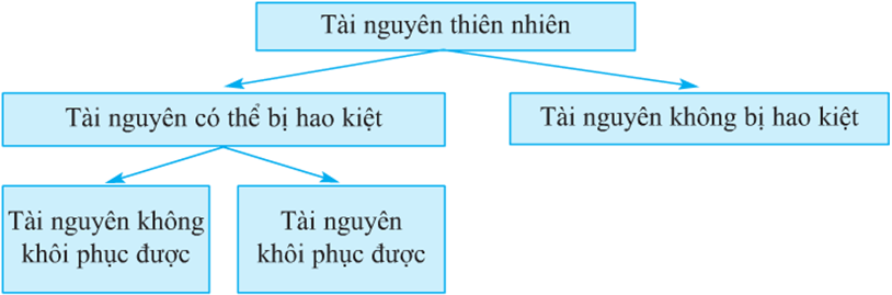 Lý thuyết Địa Lí 10 Bài 41: Môi trường và tài nguyên thiên nhiên | Lý thuyết Địa Lí 10 ngắn gọn