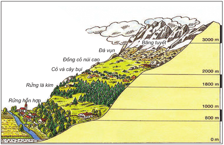 Lý thuyết Địa Lí 10 Bài 18: Sinh quyển. Các nhân tố ảnh hưởng tới sự phát triển và phân bố của sinh vật | Lý thuyết Địa Lí 10 ngắn gọn