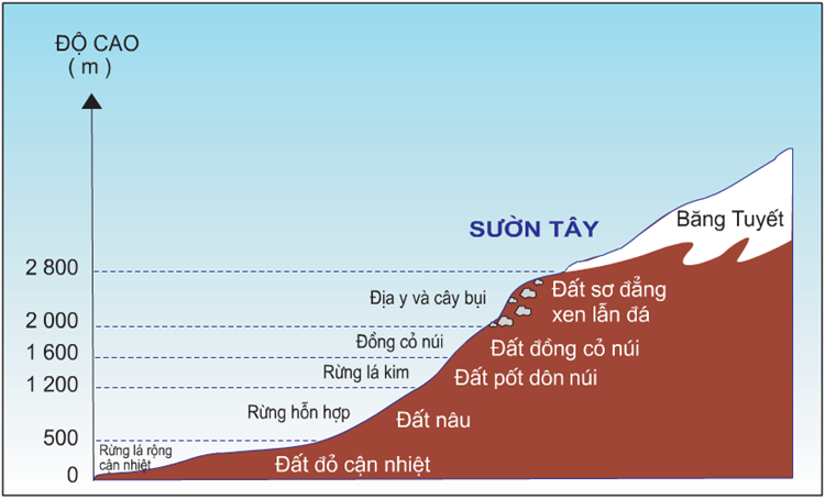 Lý thuyết Địa Lí 10 Bài 19: Sự phân bố của sinh vật và đất trên Trái Đất | Lý thuyết Địa Lí 10 ngắn gọn