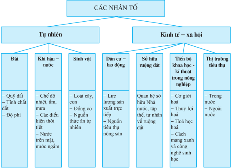 Lý thuyết Địa Lí 10 Bài 27: Vai trò, đặc điểm, các nhân tố ảnh hưởng tới phát triển và phân bố nông nghiệp. Một số hình thức tổ chức lãnh thổ nông nghiệp | Lý thuyết Địa Lí 10 ngắn gọn