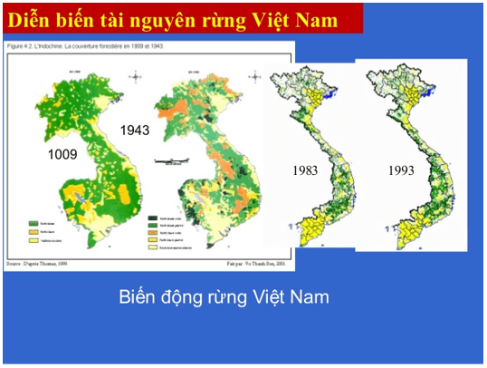 Địa Lí 12 Bài 14: Sử dụng và bảo vệ tài nguyên thiên nhiên