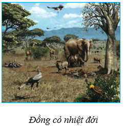 Lý thuyết Địa Lí 6 Bài 27 sách mới | Kết nối tri thức 