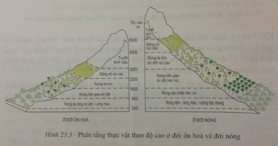 Để học tốt Địa Lý 7 | Giải bài tập Địa Lý 7