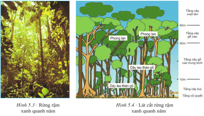 Lý thuyết Địa Lí 7 Bài 4 Kết nối tri thức, Chân trời sáng tạo, Cánh diều 