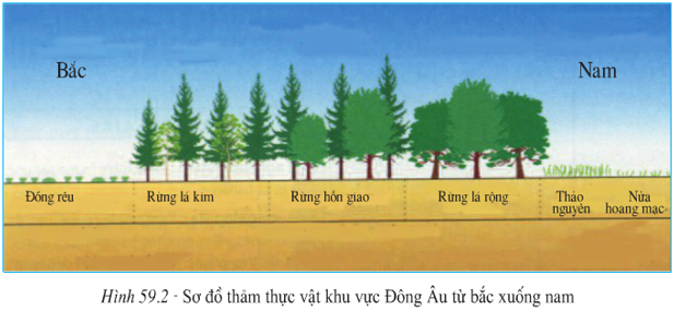 Lý thuyết Địa Lí 7 Bài 59: Khu vực Đông Âu hay, chi tiết 