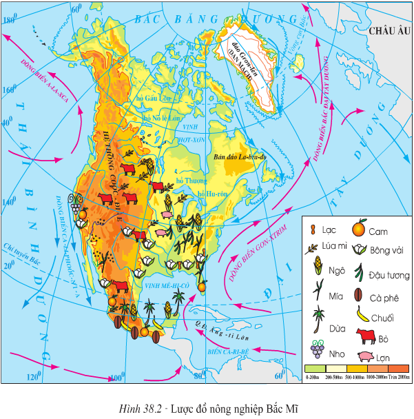 Lý thuyết Địa Lí 7 Bài 38: Kinh tế Bắc Mĩ hay, chi tiết 
