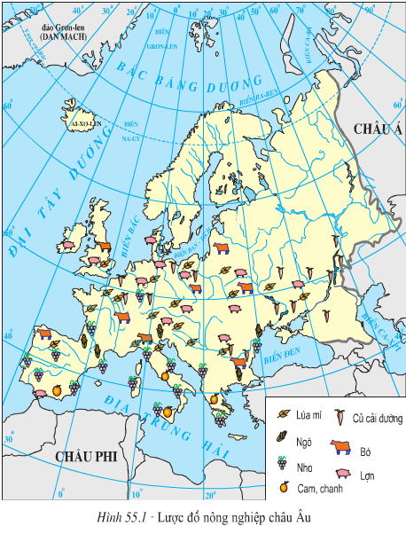 Lý thuyết Địa Lí 7 Bài 55: Kinh tế châu Âu hay, chi tiết 