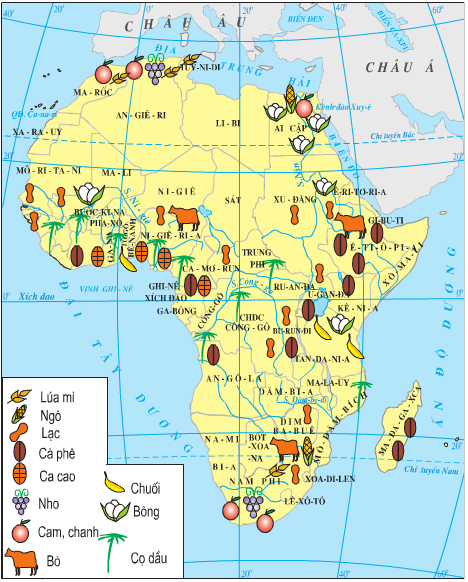 Lý thuyết Địa Lí 7 Bài 30: Kinh tế châu Phi hay, chi tiết 