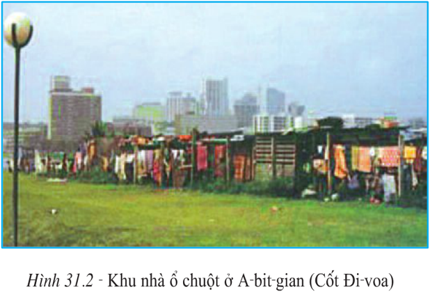 Trắc nghiệm Địa Lí 7 Bài 31 (có đáp án): Kinh tế châu Phi (tiếp theo) 