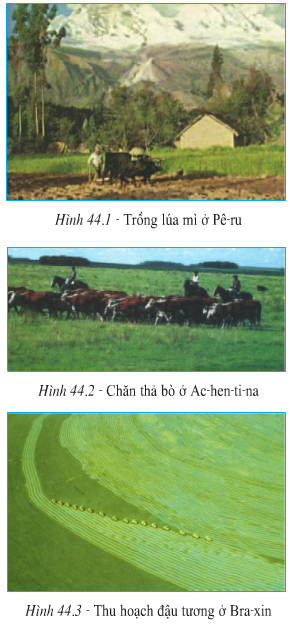 Lý thuyết Địa Lí 7 Bài 44: Kinh tế Trung và Nam Mĩ hay, chi tiết 