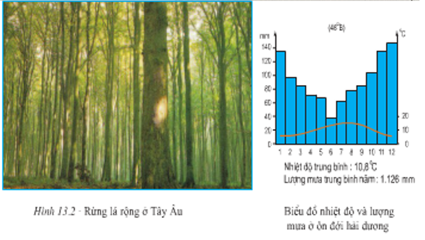 Lý thuyết Địa Lí 7 Bài 13 Kết nối tri thức, Chân trời sáng tạo, Cánh diều 