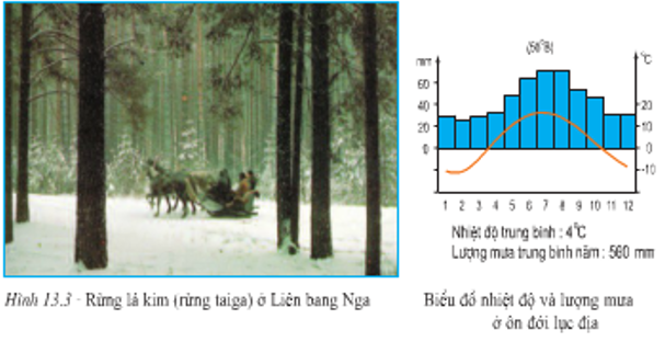 Lý thuyết Địa Lí 7 Bài 13 Kết nối tri thức, Chân trời sáng tạo, Cánh diều 