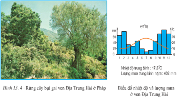 Lý thuyết Địa Lí 7 Bài 13 Kết nối tri thức, Chân trời sáng tạo, Cánh diều 