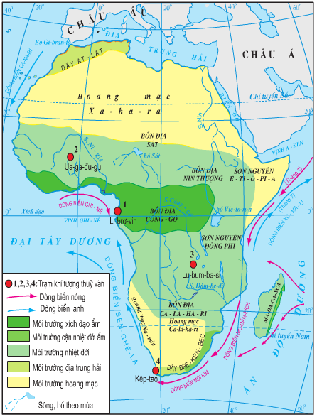 Lý thuyết Địa Lí 7 Bài 27: Thiên nhiên châu Phi hay, chi tiết (tiếp theo) 