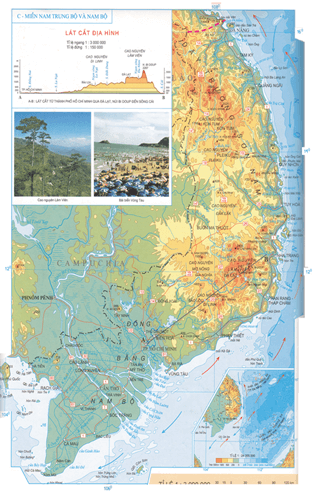 Lý thuyết Địa Lí 8 Bài 43: Miền Nam Trung Bộ và Nam Bộ hay, chi tiết 