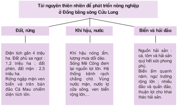 Lý thuyết Địa Lí 9 Bài 35: Vùng Đồng bằng sông Cửu Long hay, chi tiết 