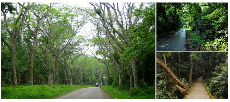 Lý thuyết GDCD 6 Bài 7: Yêu thiên nhiên, sống hòa hợp với thiên nhiên hay, chi tiết