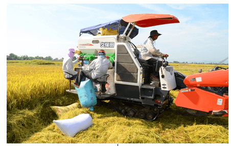 Lý thuyết GDCD 8 Bài 11: Lao động tự giác và sáng tạo hay, chi tiết