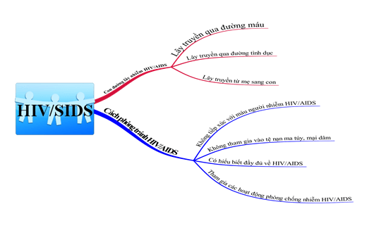 Lý thuyết GDCD 8 Bài 14: Phòng, chống nhiễm HIV/AIDS hay, chi tiết 