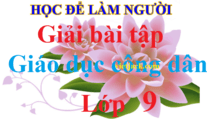 Giải bài tập GDCD lớp 9 | Để học tốt GDCD 9