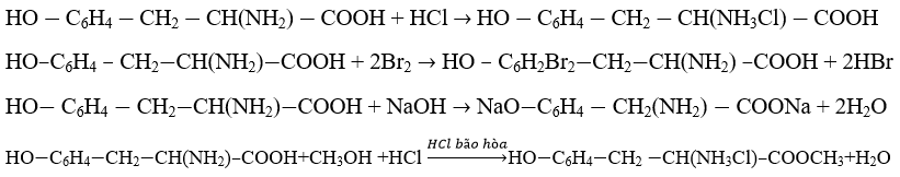 Giải bài tập Hóa học lớp 12 | Giải hóa lớp 12