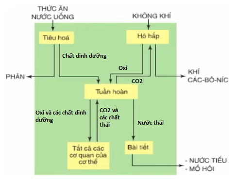 Giải bài tập Khoa học 4 | Trả lời câu hỏi Khoa học 4