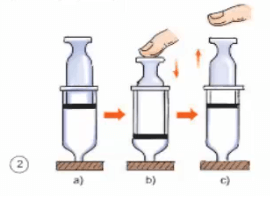 Giải bài tập Khoa học 4 | Trả lời câu hỏi Khoa học 4