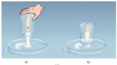 Giải bài tập Khoa học 4 | Trả lời câu hỏi Khoa học 4