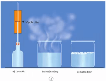 Giải bài tập Khoa học 4 | Trả lời câu hỏi Khoa học 4