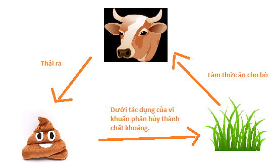 Giải bài tập Khoa học 4 | Trả lời câu hỏi Khoa học 4