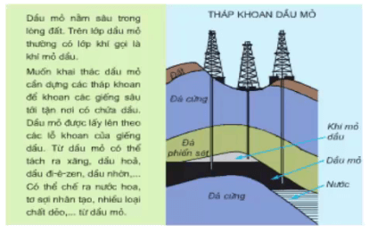 Giải bài tập Khoa học 5 | Trả lời câu hỏi Khoa học 5