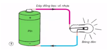 Giải bài tập Khoa học 5 | Trả lời câu hỏi Khoa học 5