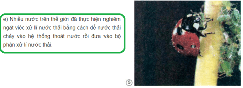 Giải bài tập Khoa học 5 | Trả lời câu hỏi Khoa học 5