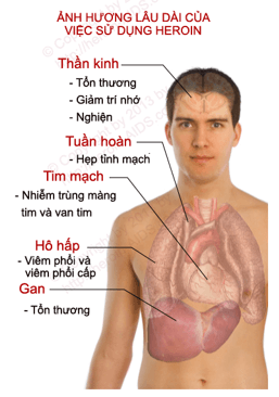 Giải bài tập Khoa học 5 | Trả lời câu hỏi Khoa học 5