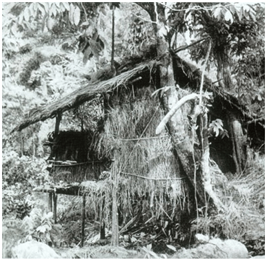 Bài 16: Phong trào giải phóng dân tộc và tổng khởi nghĩa tháng Tám (1939-1945). Nước Việt Nam Dân chủ Cộng hòa ra đời