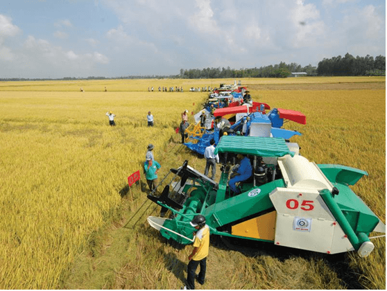 Lý thuyết Lịch Sử 12 Bài 10: Cách mạng khoa học-công nghệ và xu hướng toàn cầu hóa nửa sau thế kỉ XX (hay, ngắn gọn)