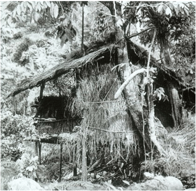 Lý thuyết Lịch Sử 12 Bài 16: Phong trào giải phóng dân tộc và tổng khởi nghĩa tháng Tám (1939-1945). Nước Việt Nam Dân chủ Cộng hòa ra đời (hay, ngắn gọn)