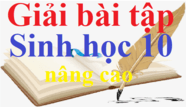 Giải bài tập Sinh học 10 nâng cao | Trả lời câu hỏi Sinh 10 nâng cao