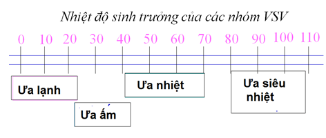 Trả lời câu hỏi Sinh 10 nâng cao Bài 41 trang 137 