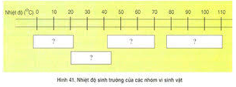 Trả lời câu hỏi Sinh 10 nâng cao Bài 41 trang 137 