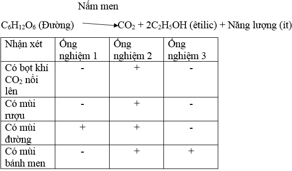 Giải bài tập Sinh học 10 | Trả lời câu hỏi Sinh 10