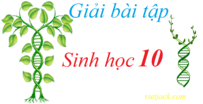 Giải bài tập Sinh học 10 | Để học tốt Sinh học 10