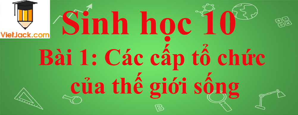 Sinh học lớp 10 Bài 1: Các cấp tổ chức của thế giới sống ngắn nhất