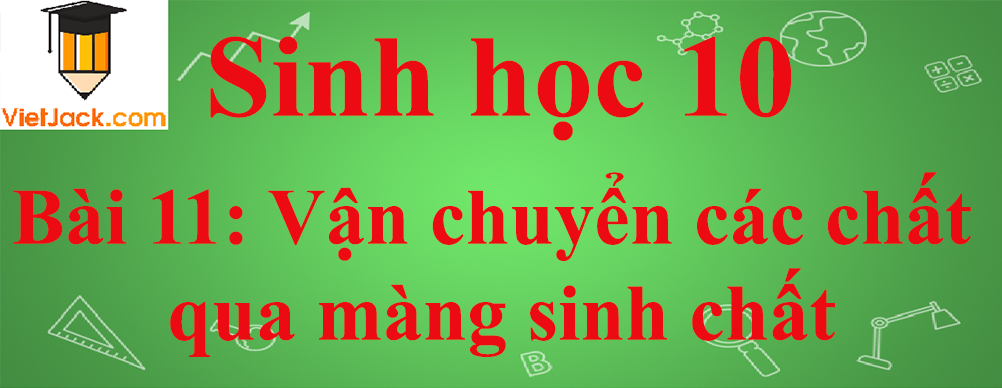 Sinh học lớp 10 Bài 11: Vận chuyển các chất qua màng sinh chất ngắn nhất