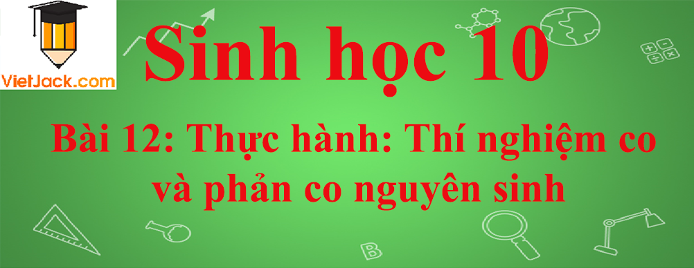 Sinh học lớp 10 Bài 12: Thực hành: Thí nghiệm co và phản co nguyên sinh ngắn nhất